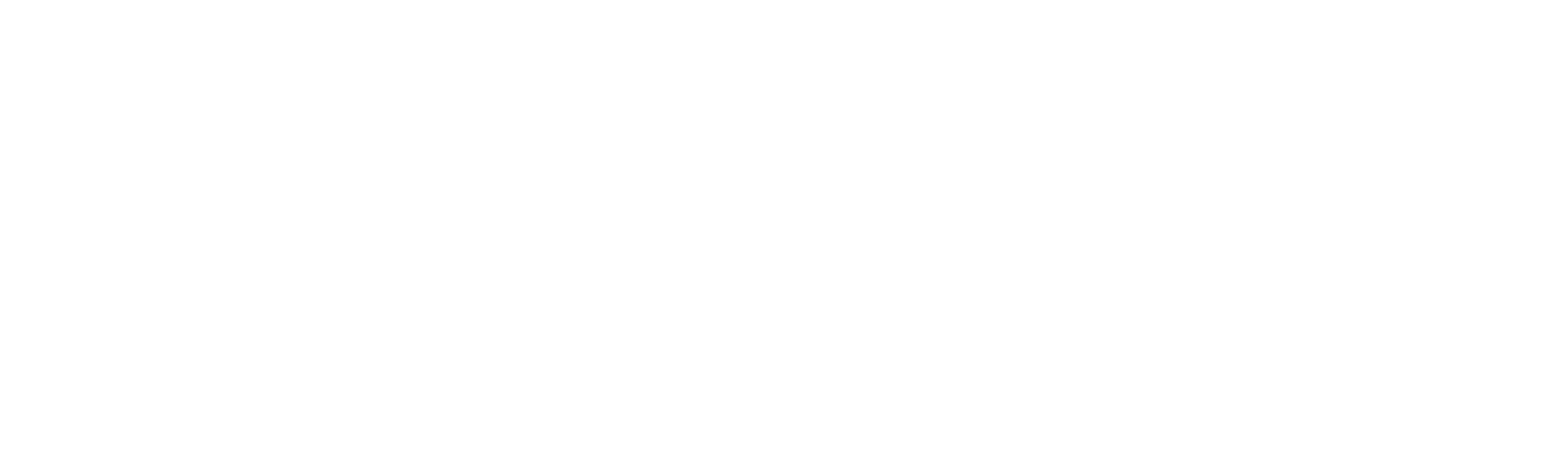 Execweb Solution